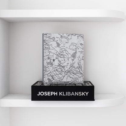 A chrome painting collectable art collectable by artist Joseph Klibansky standing on a black box on a white shelf